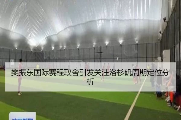 樊振东国际赛程取舍引发关注洛杉矶周期定位分析